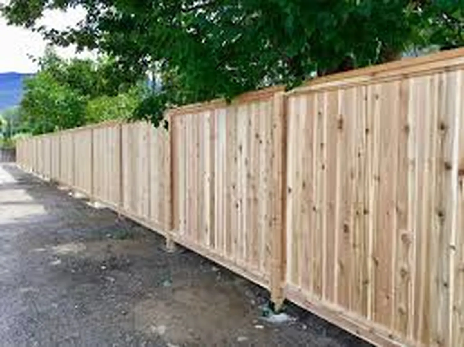 Wood Fence project by Excalibur Fence and Iron Works