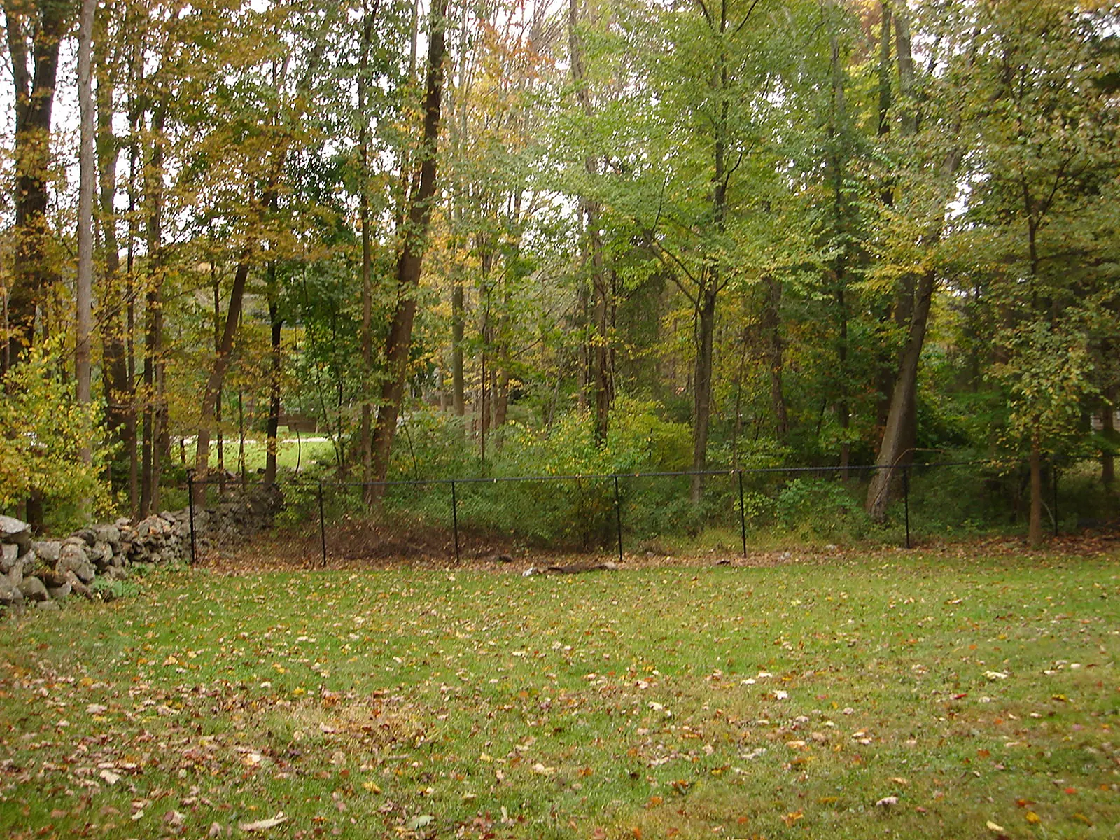 Galvanized chain link fence